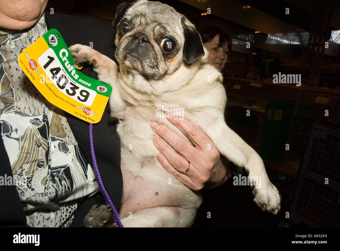 Dog being carried hi-res stock photography and images - Alamy