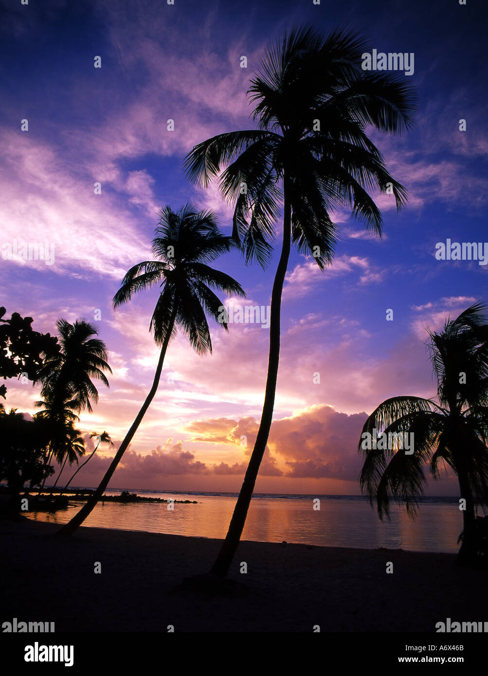 Guadeloupe Ste Anne beach Stock Photo Alamy