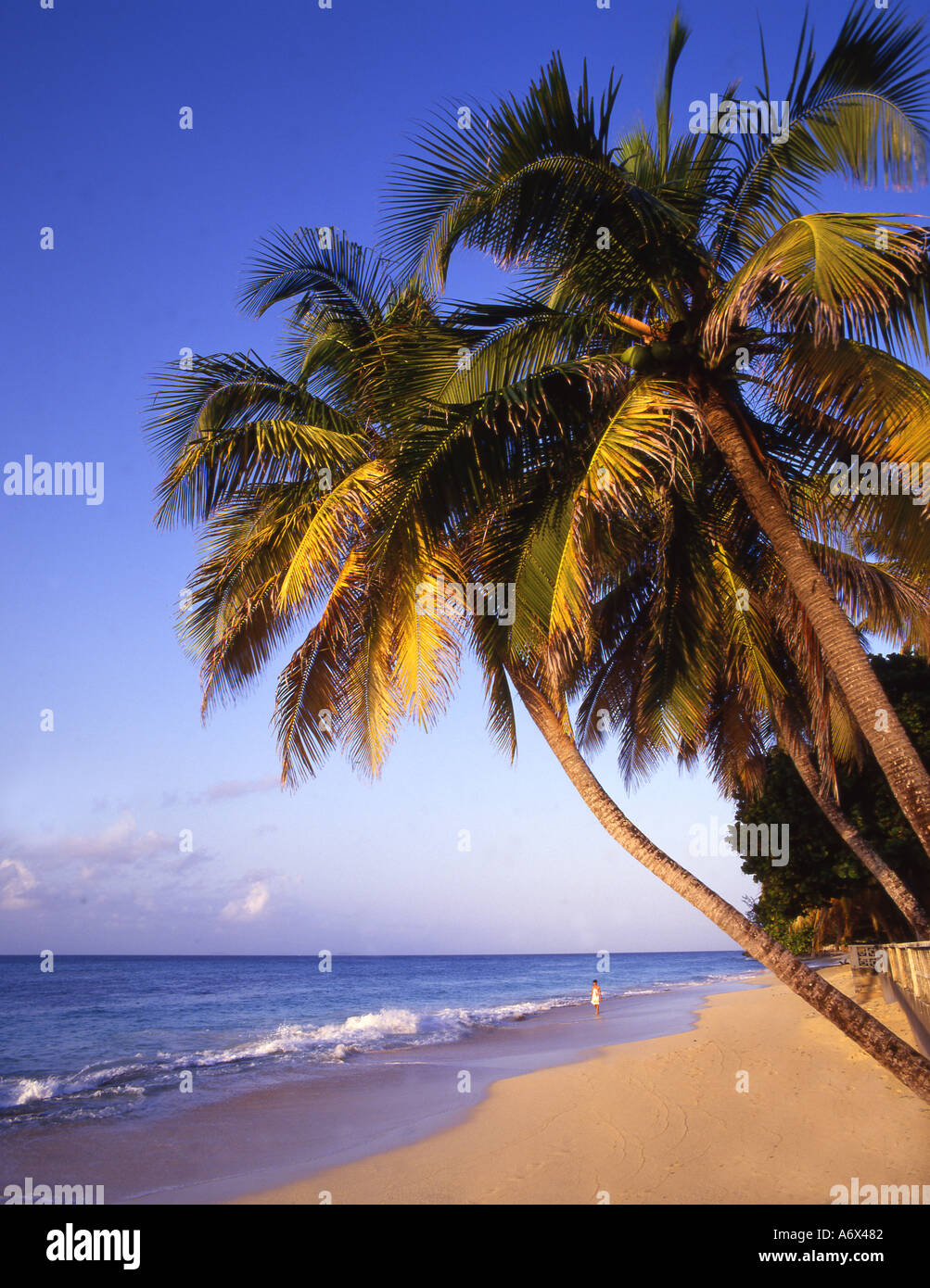 Barbados beach Stock Photo