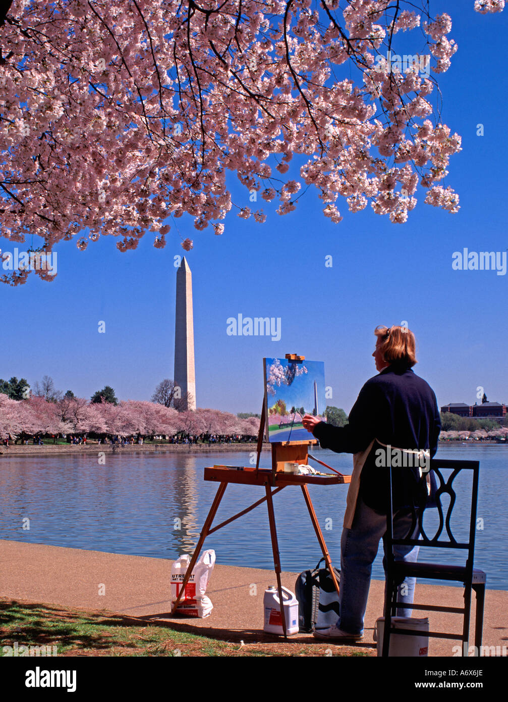 The Washington Monument, Washington DC, USA Stock Photo