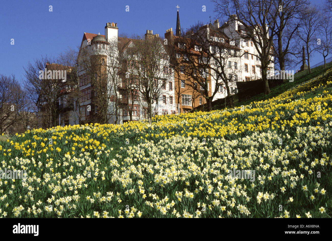 Ramsay Gardens in spring, Edinburgh, Scotland, UK. Stock Photo