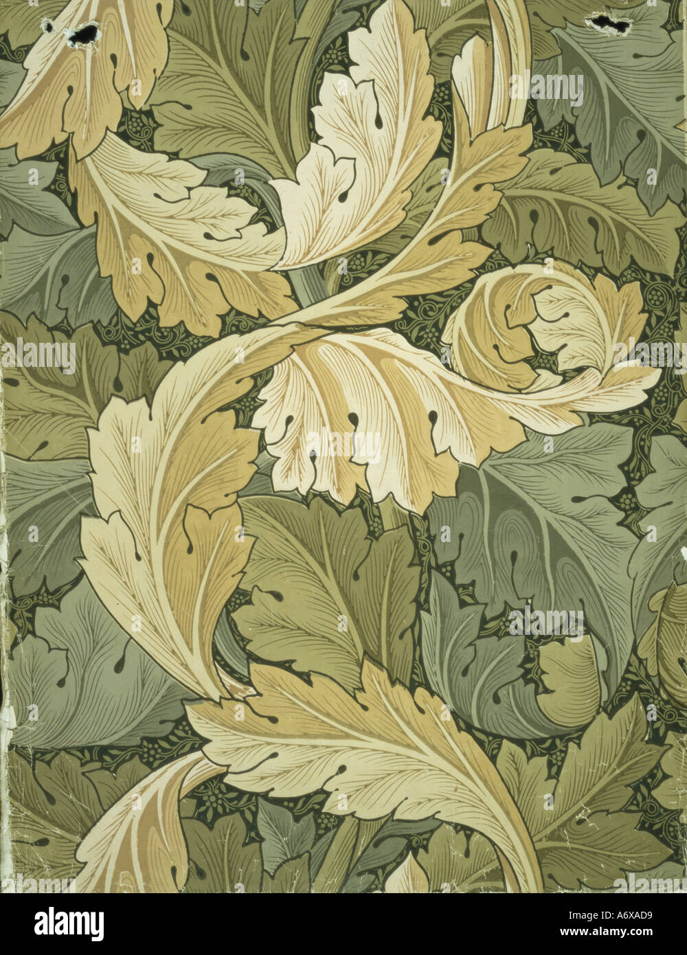William morris wallpaper hi-res stock photography and images - Page 2 -  Alamy