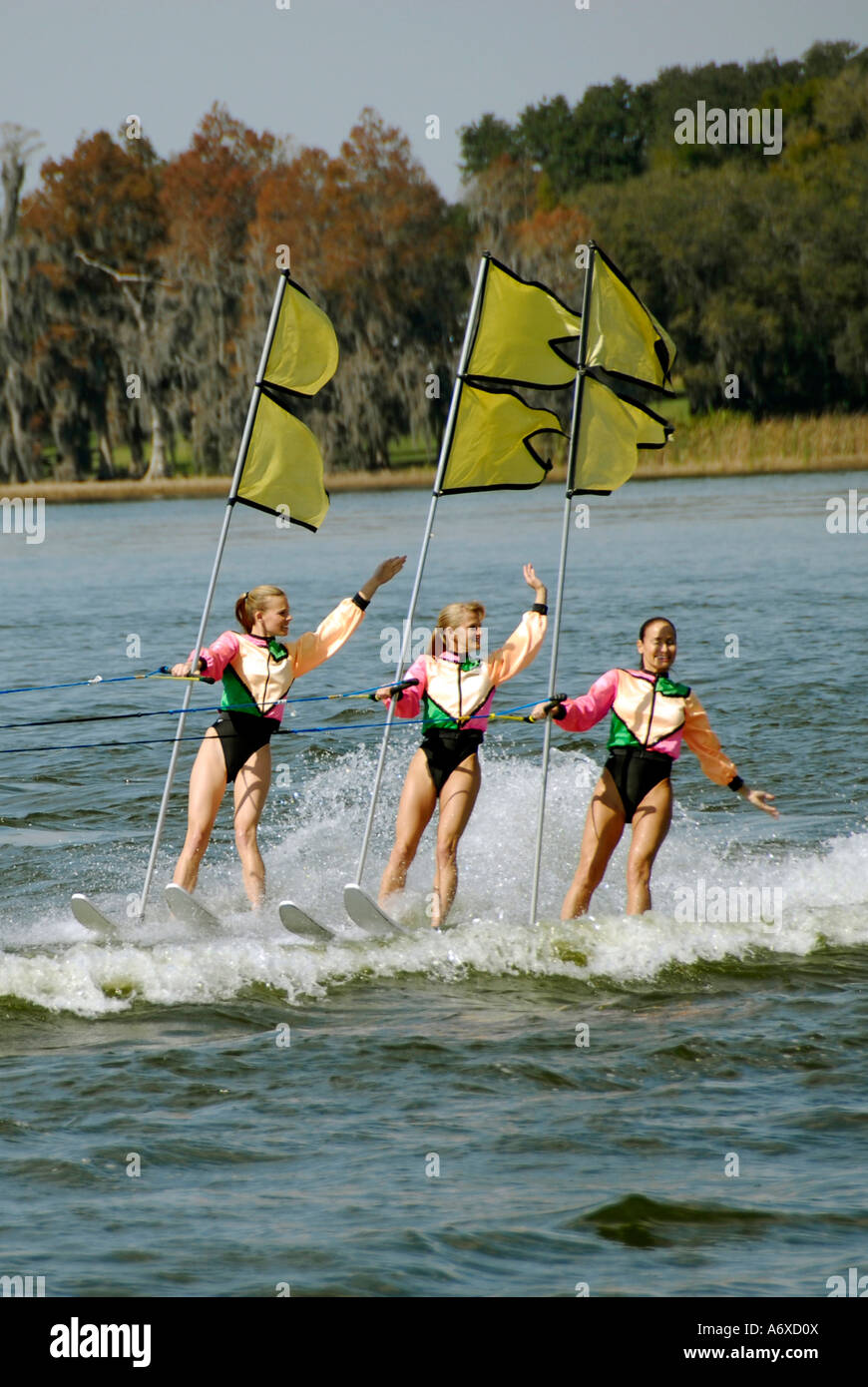 Ski Show Spectacular at Cypress Gardens Winter Haven Florida US Stock Photo Alamy