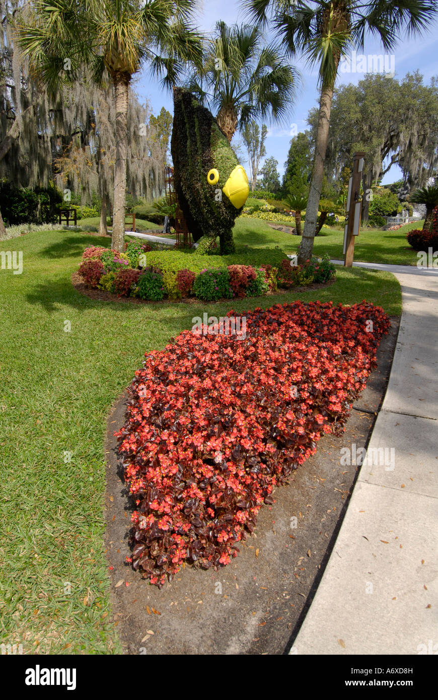 Fish Topiary at Cypress Gardens Winter Haven Florida US Stock Photo Alamy