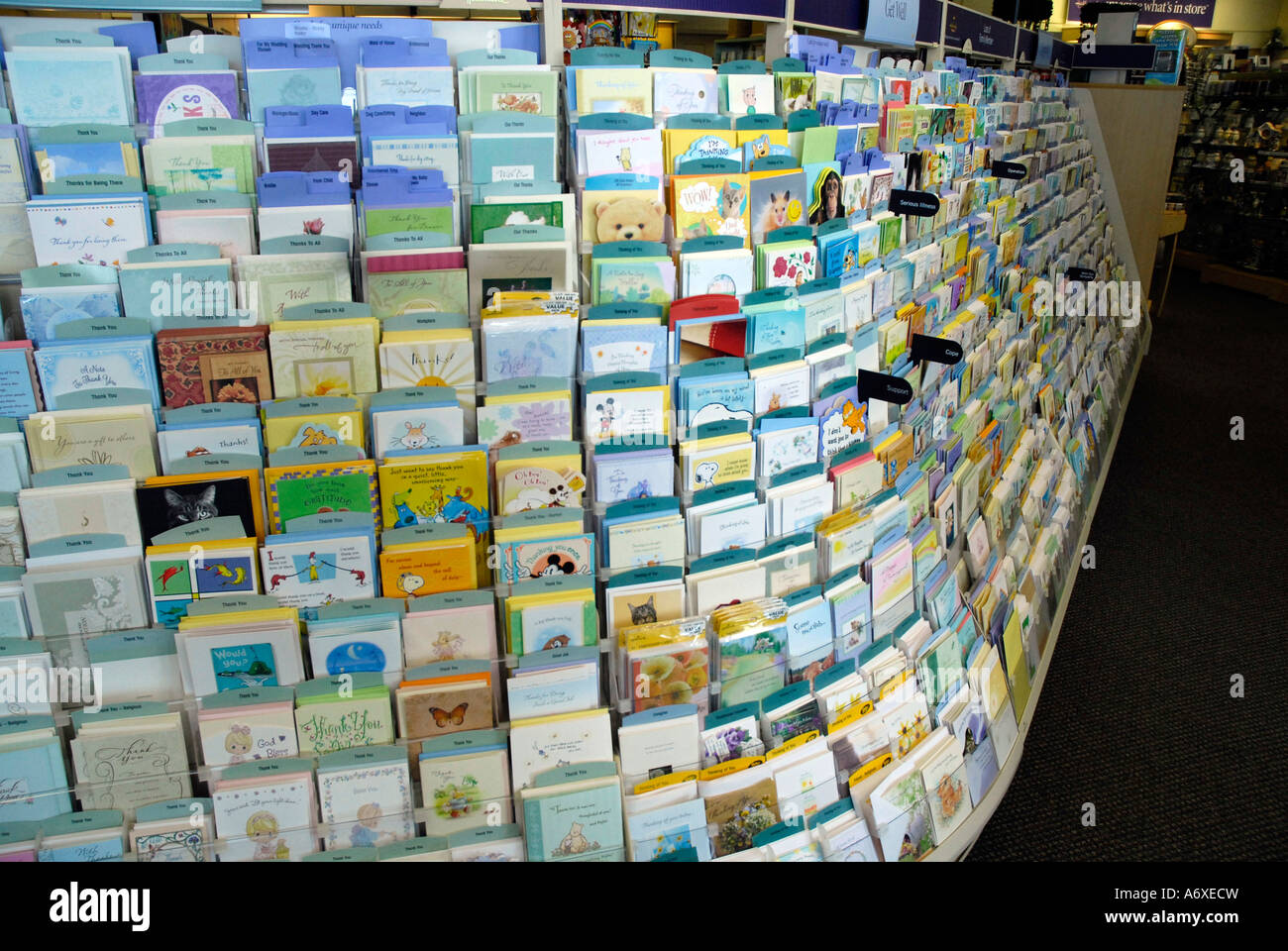 greeting card shop los angeles greeting card shop los angeles