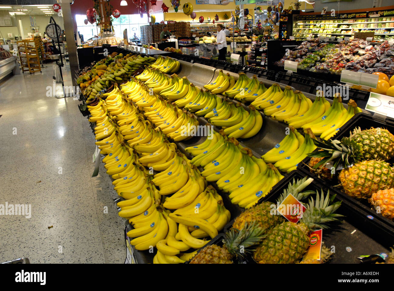 Bananas on display in a supermarket grocery store Stock Photo Alamy
