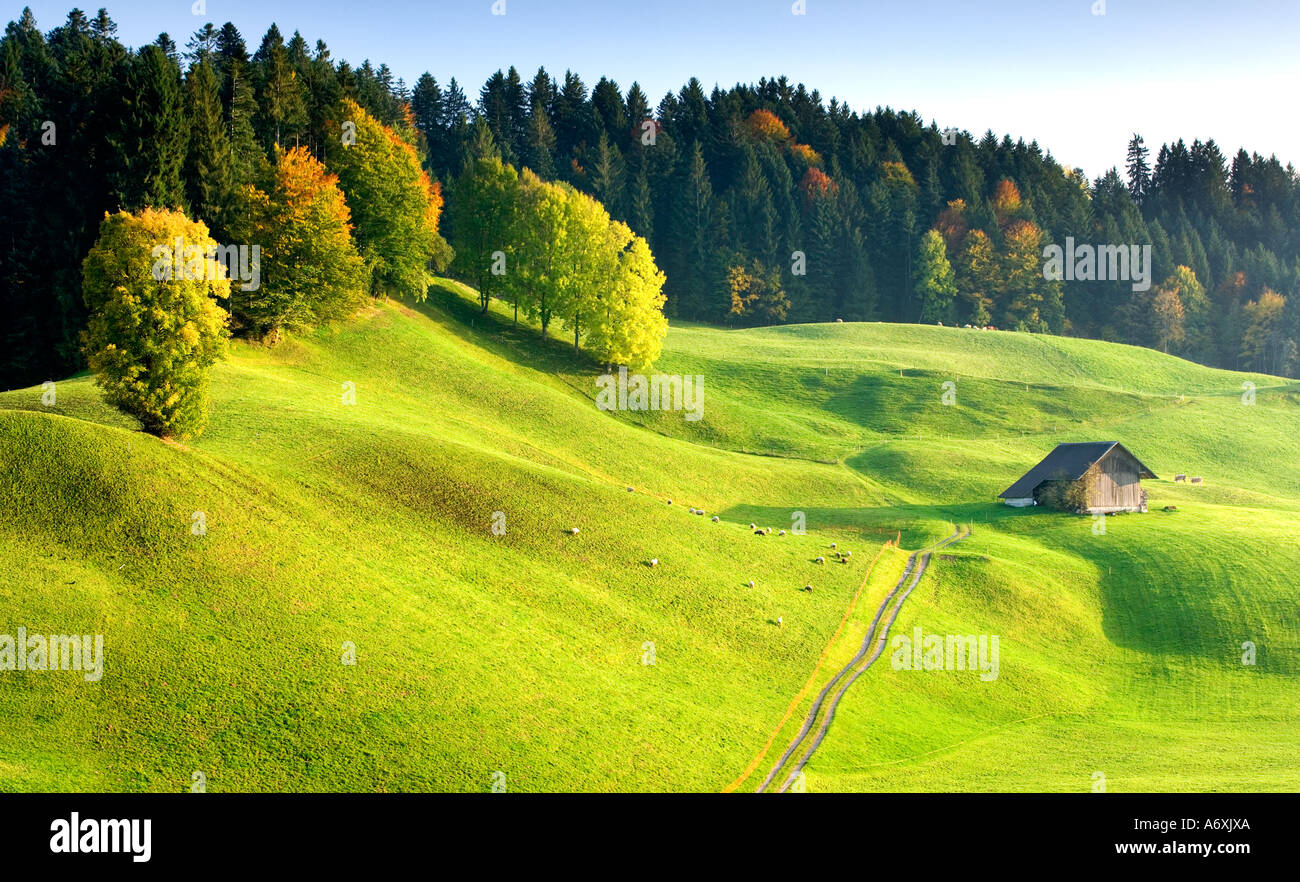 Switzerland Berner Oberland Rural scene track leading to old barn Stock
