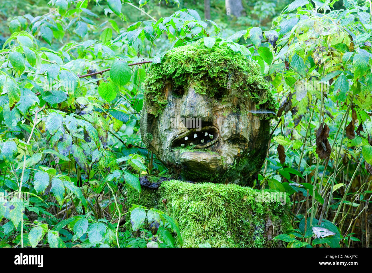 Switzerland Berner Oberland Mossy face sculpture guarding the forest Stock Photo