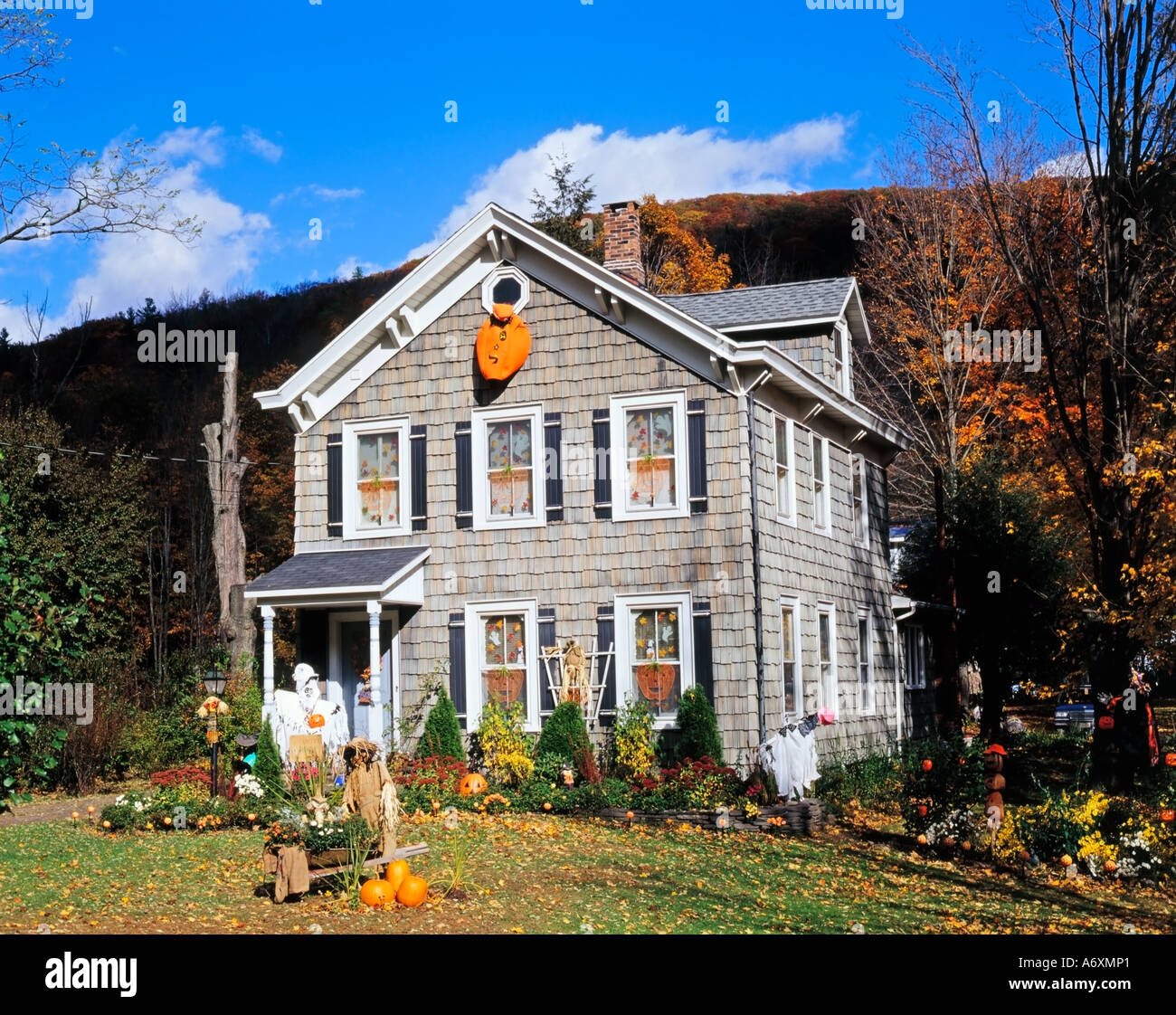 Festive Halloween House and Garden Decoration Town of