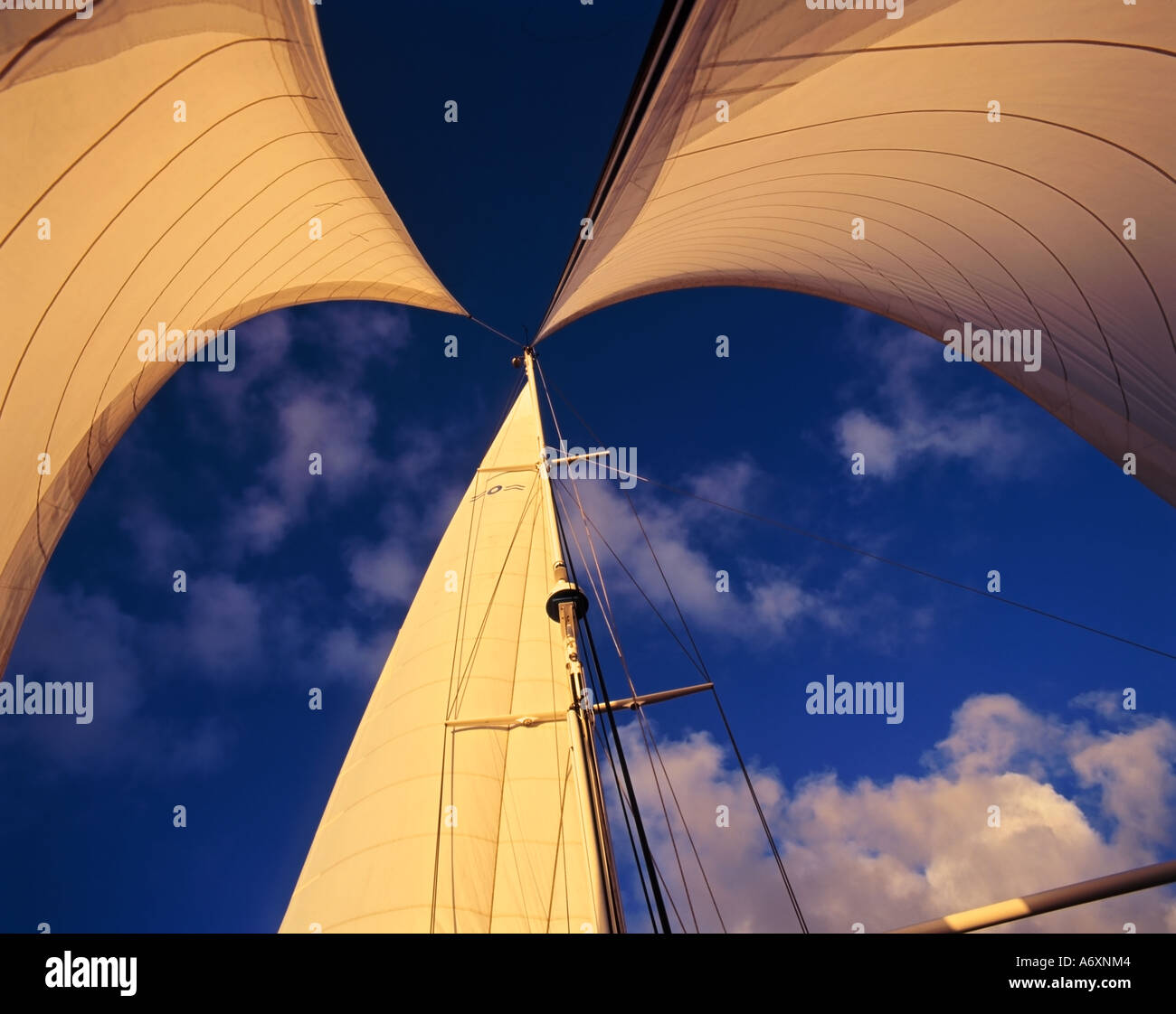 Twin foresail hires stock photography and images Alamy