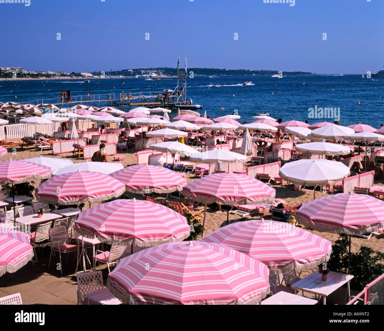 From Boulevard de la Croisette The Beach and the many Sun Loungers Umbrella  and Parasol Cannes Cote d Azur South of France Stock Photo - Alamy