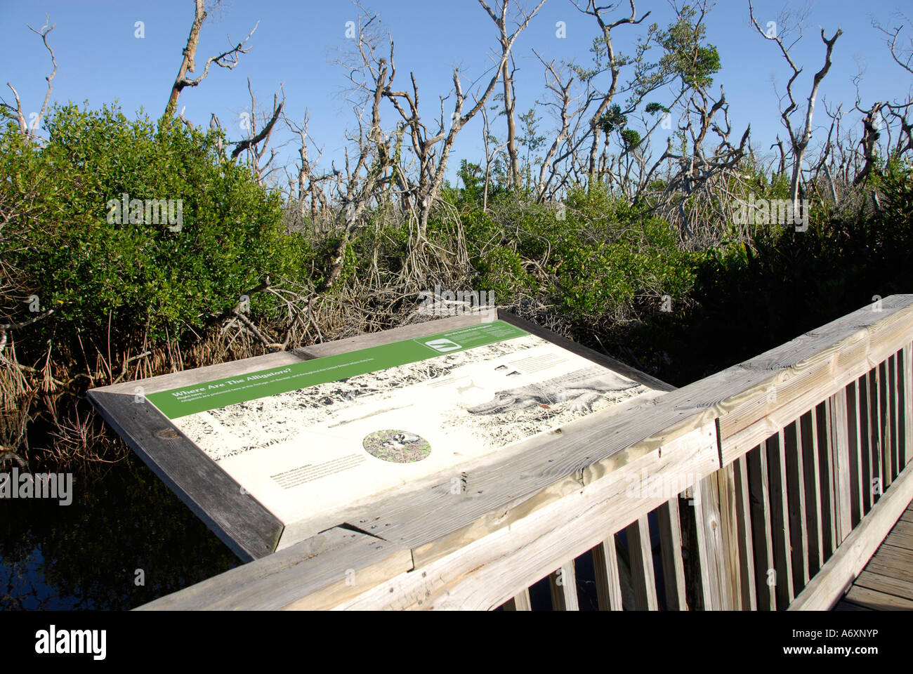 Southwest FL Florida Ft Fort Meyers Myers J N Ding Darling National Wildlife Refuge Sanibel Island Stock Photo
