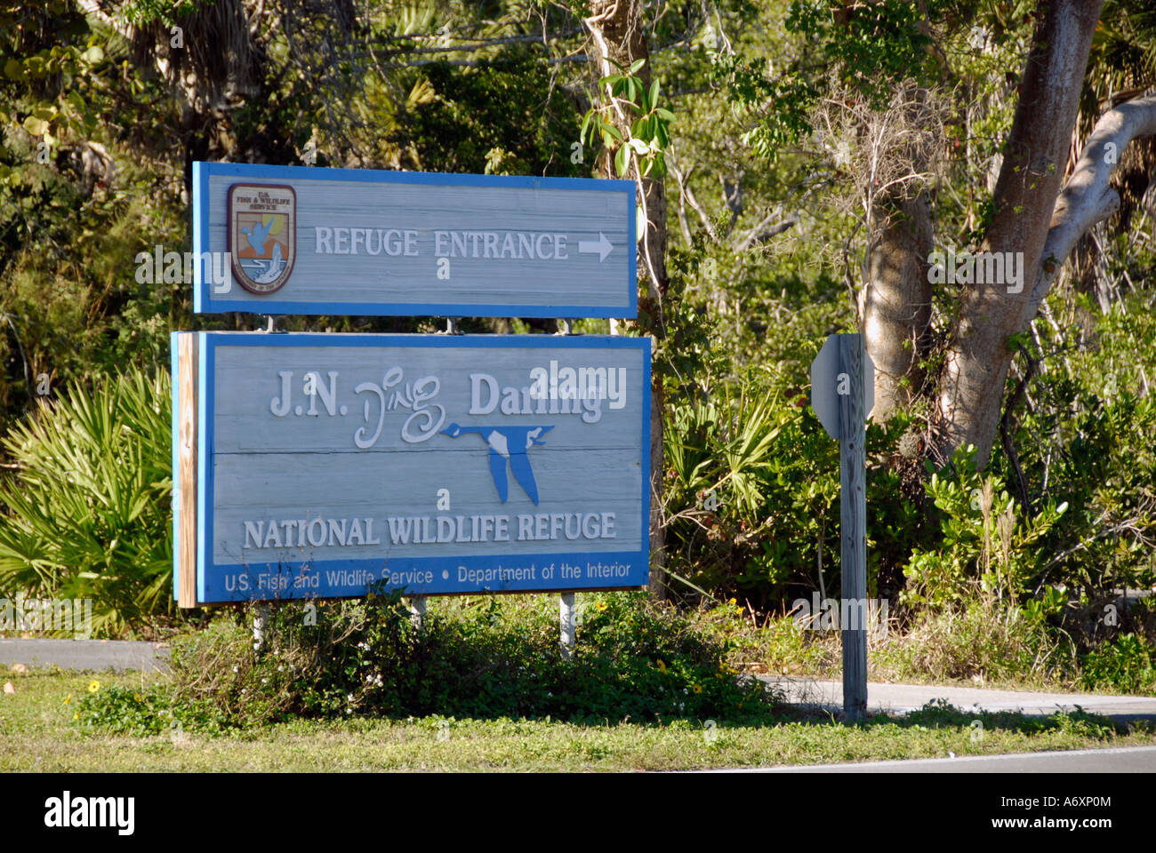 Southwest FL Florida Ft Fort Meyers Myers J N Ding Darling National Wildlife Refuge Sanibel Island Stock Photo
