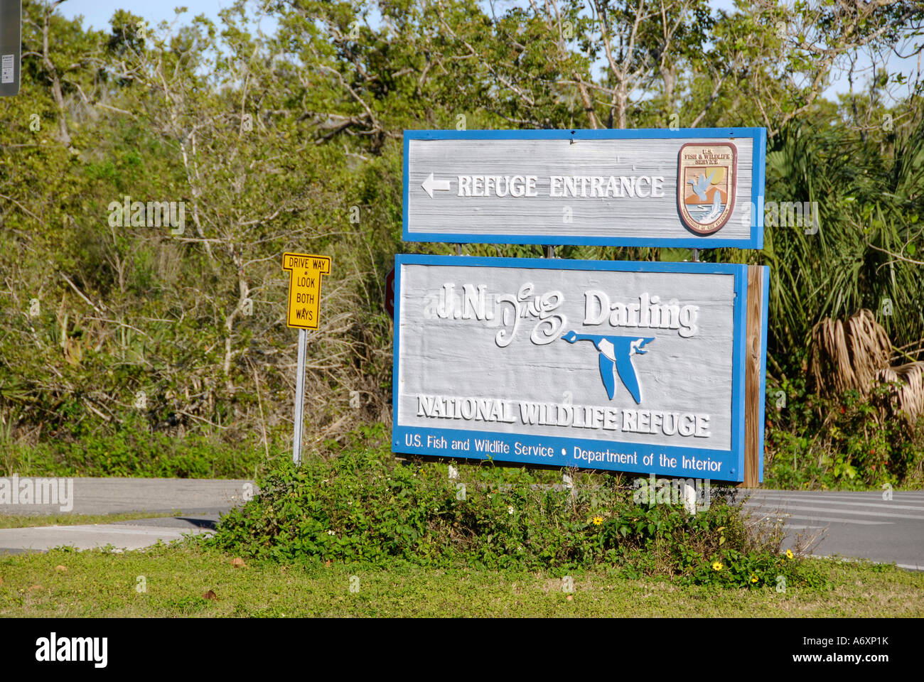 Southwest FL Florida Ft Fort Meyers Myers J N Ding Darling National Wildlife Refuge Sanibel Island Stock Photo