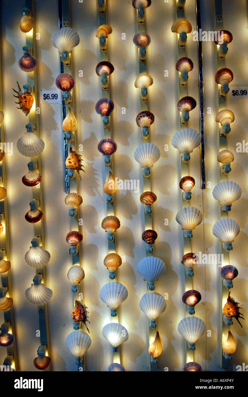 Worlds largest Shell Factory a popular tourist attraction in North Fort