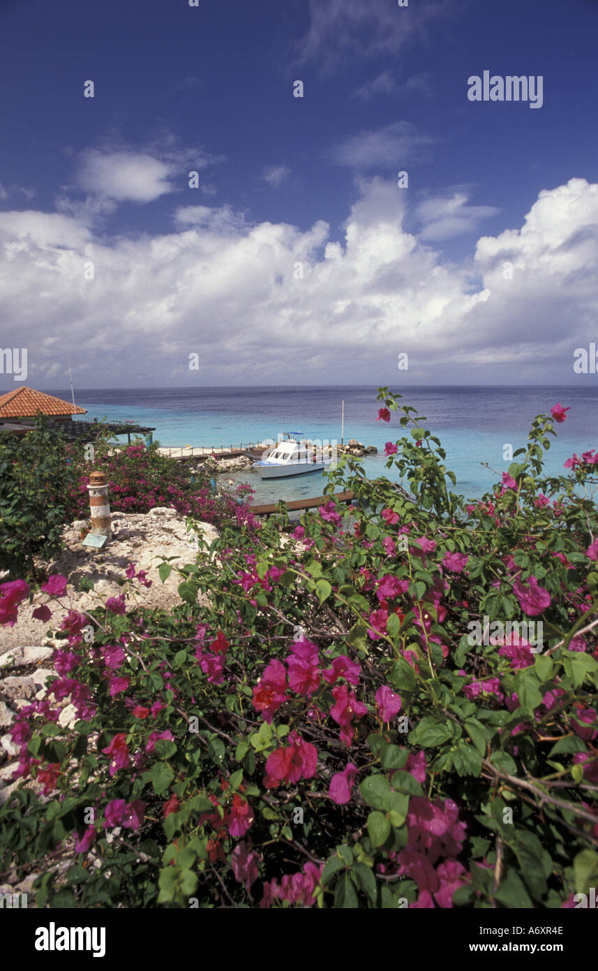 Caribbean, Netherland Antilles, Curacao, The Habitat Resort Stock Photo