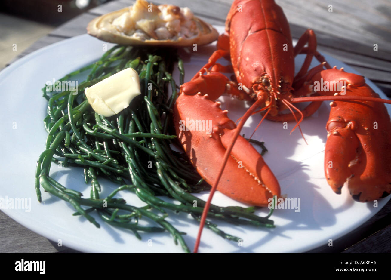 Lobster and dressed crab north hires stock photography and images Alamy