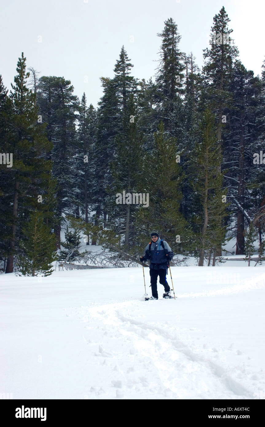 Man on mountain trail snowshoeing through the valley covered in snow