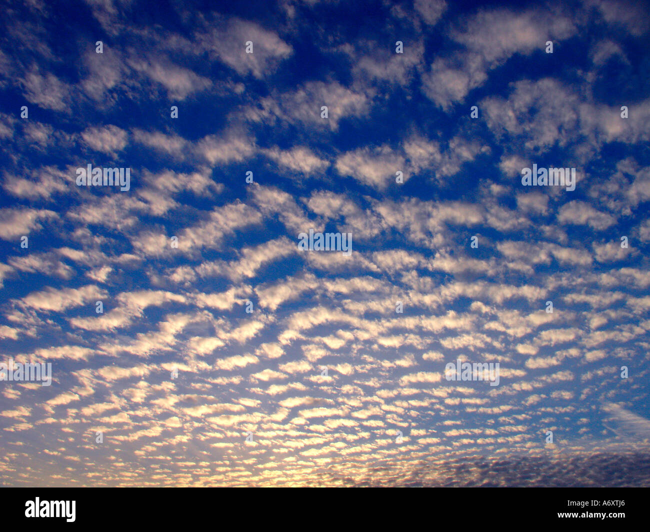 Altocumulus Mid level clouds Stock Photo