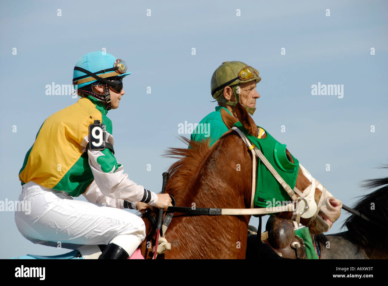 Thoroughbred horse racing Tampa Bay Downs Florida FL Tampa Stock Photo