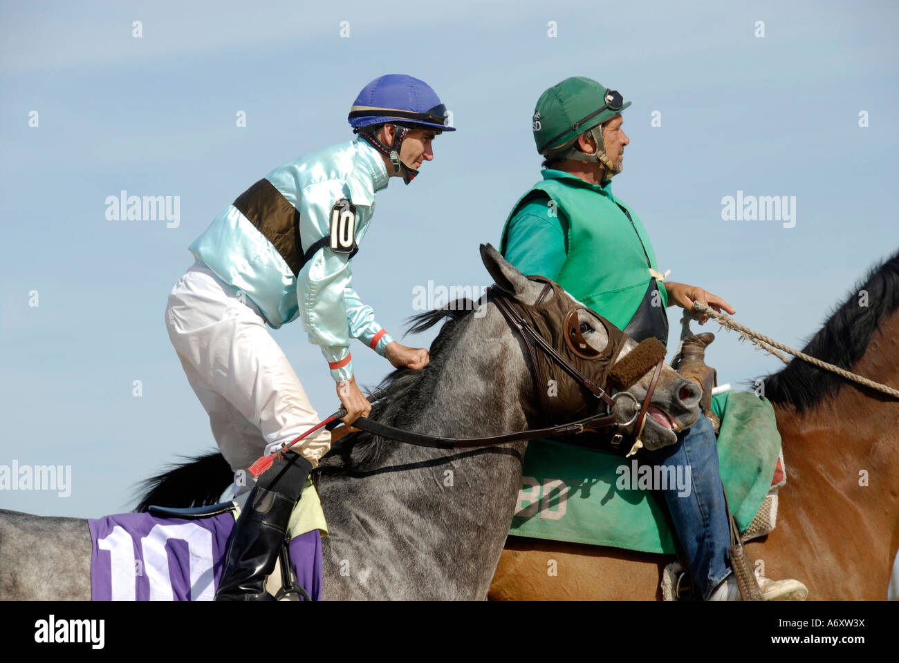 Thoroughbred horse racing Tampa Bay Downs Florida FL Tampa Stock Photo