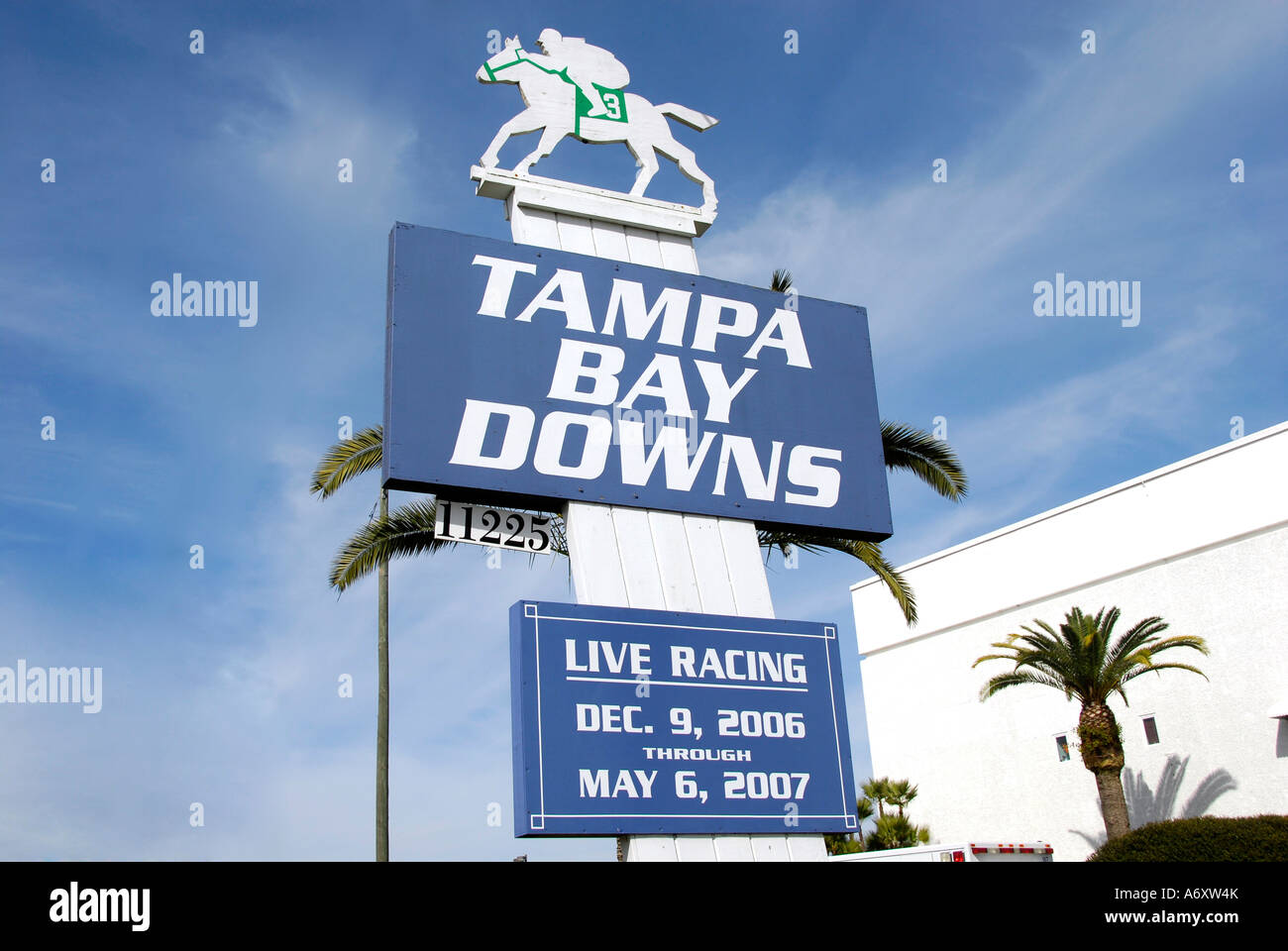 Thoroughbred horse racing Tampa Bay Downs Florida FL Tampa Stock Photo