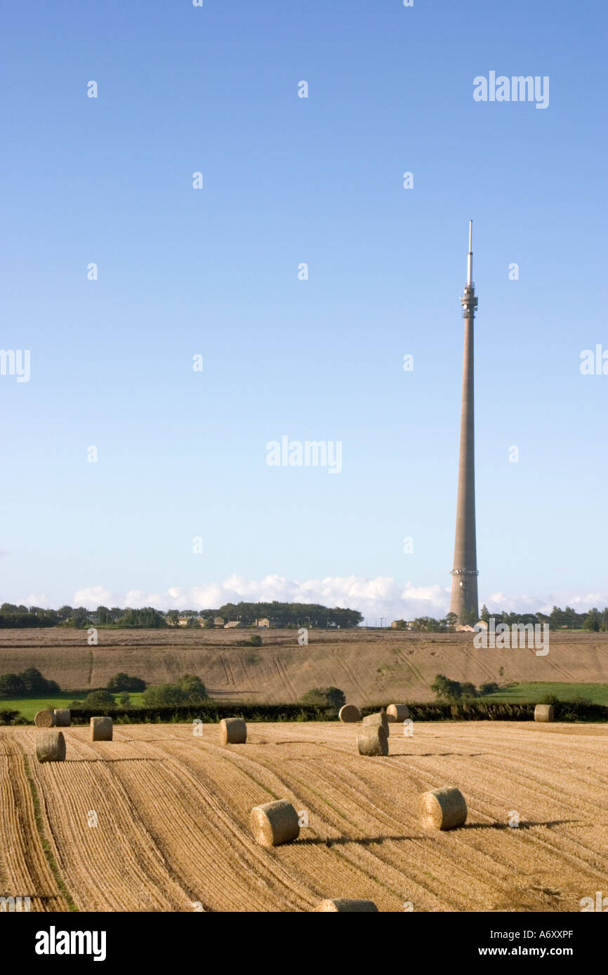 View of Emley Moor Television Mast across fields with hay bales late afternoon sun Stock Photo