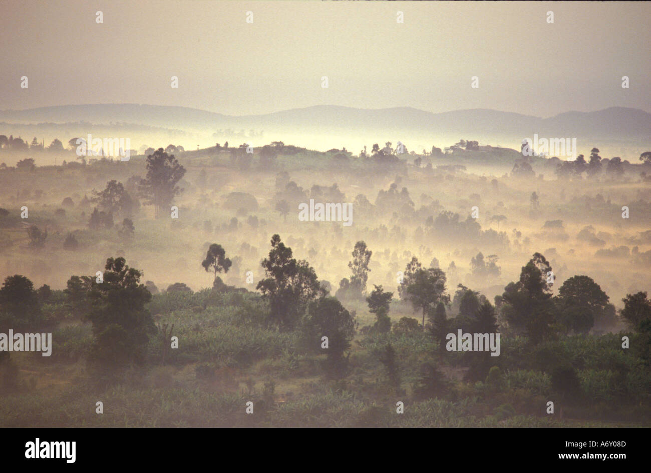 Spectacular scenic vista to distant mountains of golden eerie mist rising over Toro game park at dawn in Uganda Stock Photo