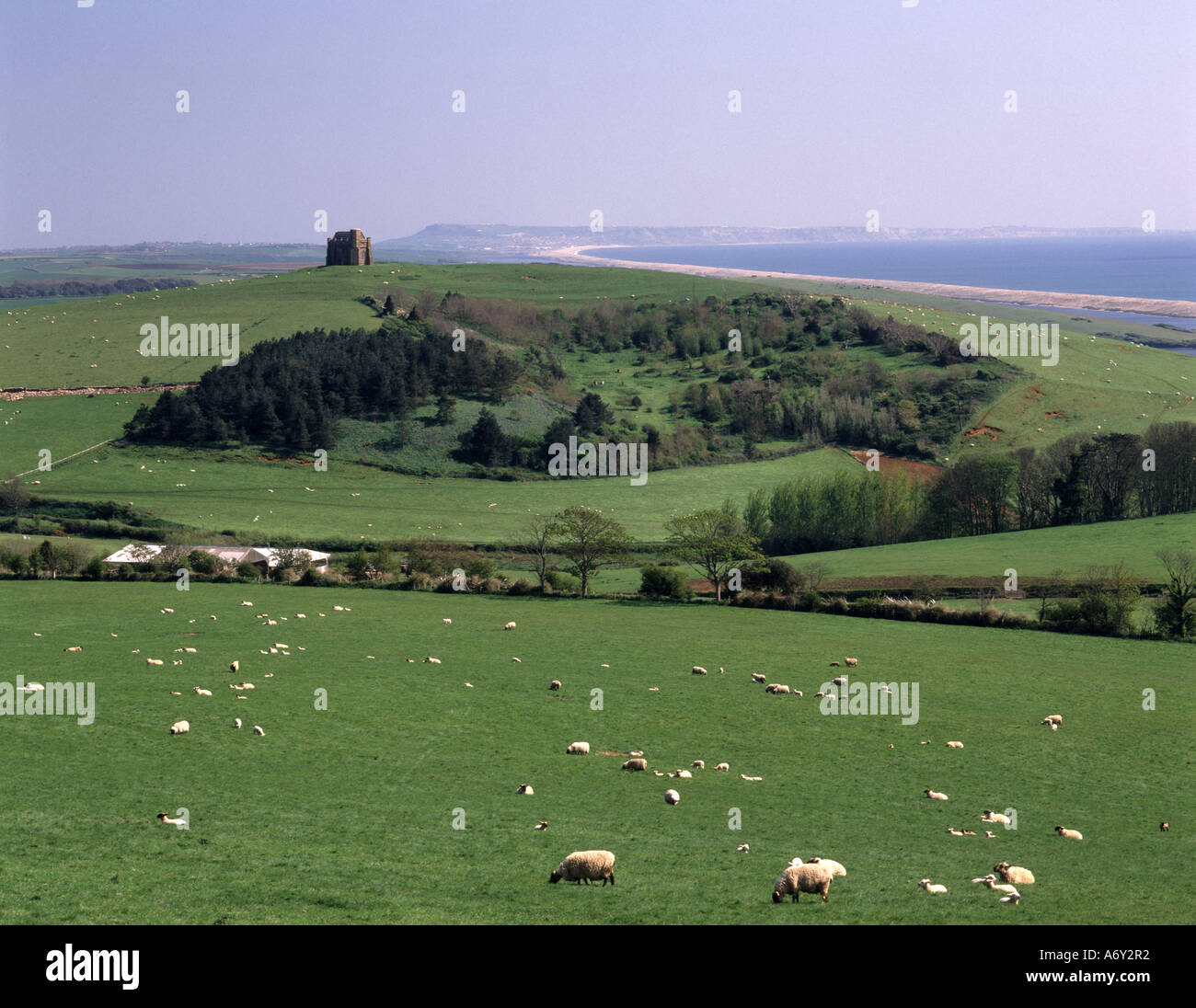 CHESIL BEACH. DORSET. ENGLAND. UK Stock Photo - Alamy