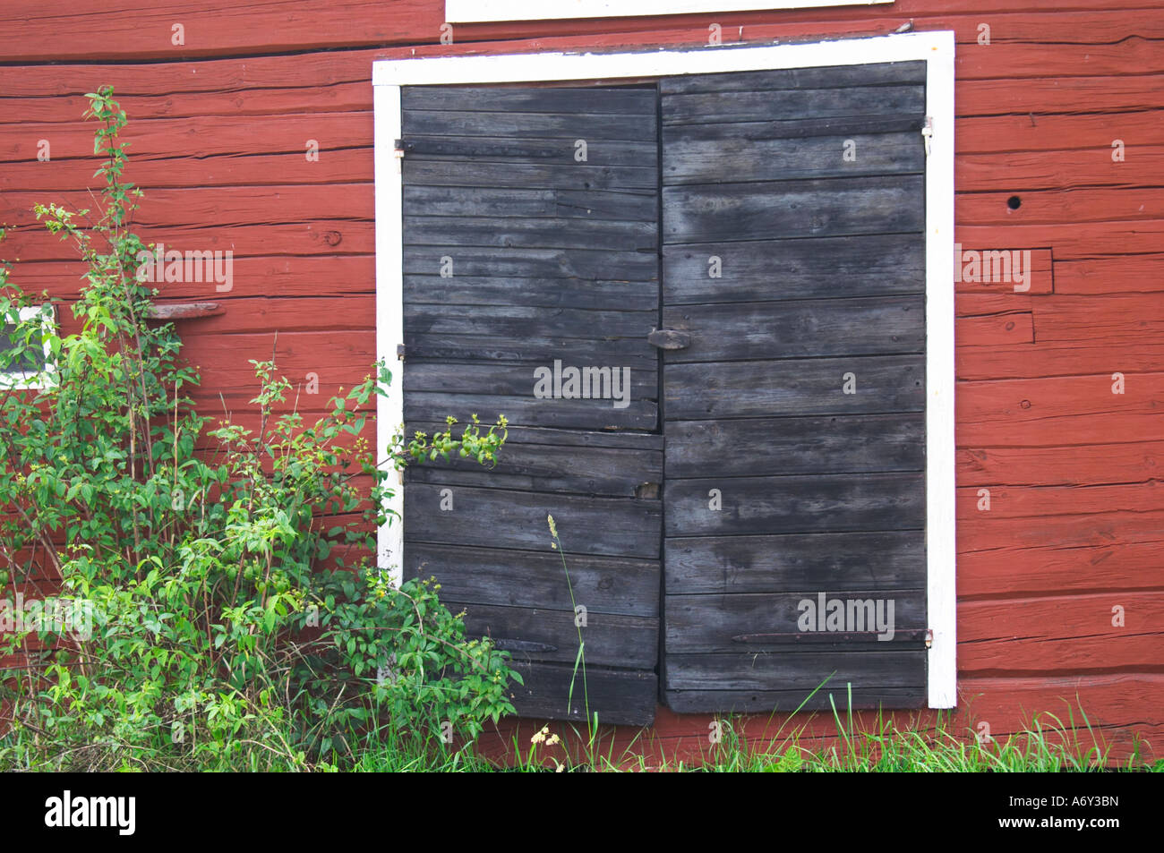 Traditional style Swedish wooden painted house. Black door. Barn