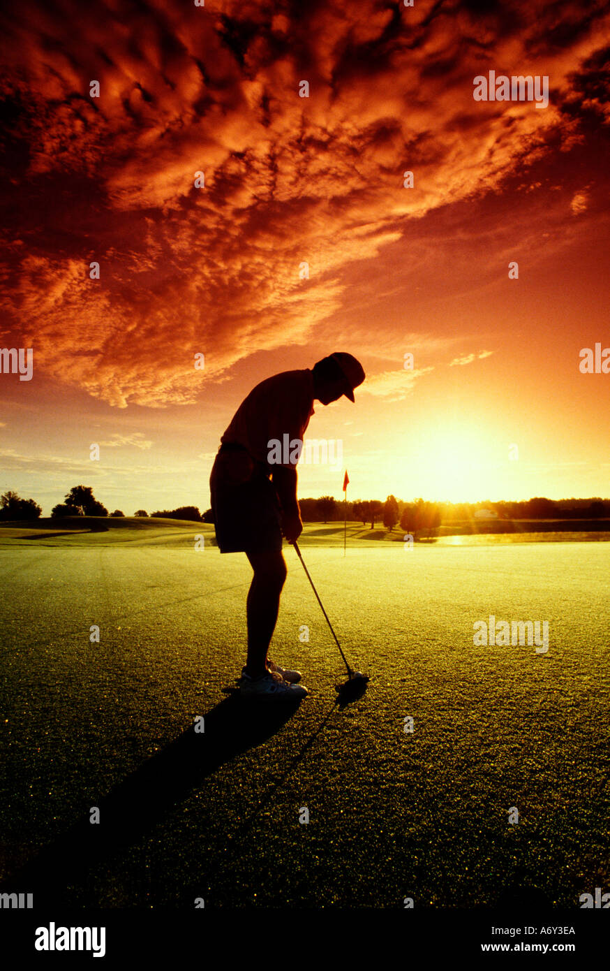 Golfer putting at sunset Stock Photo