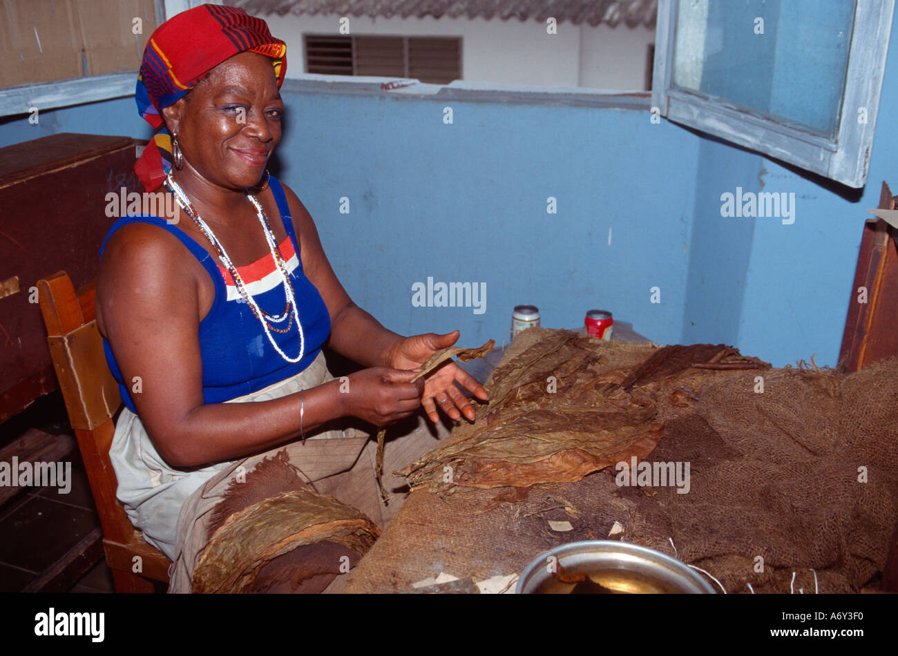 Manufacturing Process Cuban Cigar Hi res Stock Photography And Images Alamy