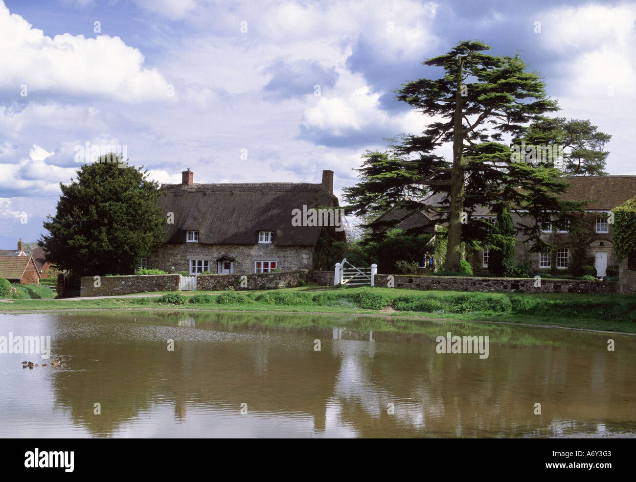 Ashmore pond hires stock photography and images Alamy
