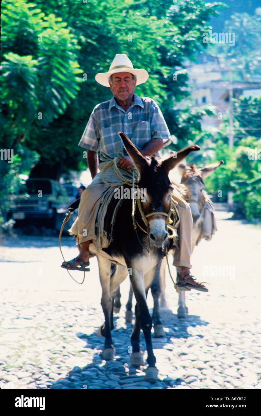 a man riding a donkey in mexico Stock Photo Alamy