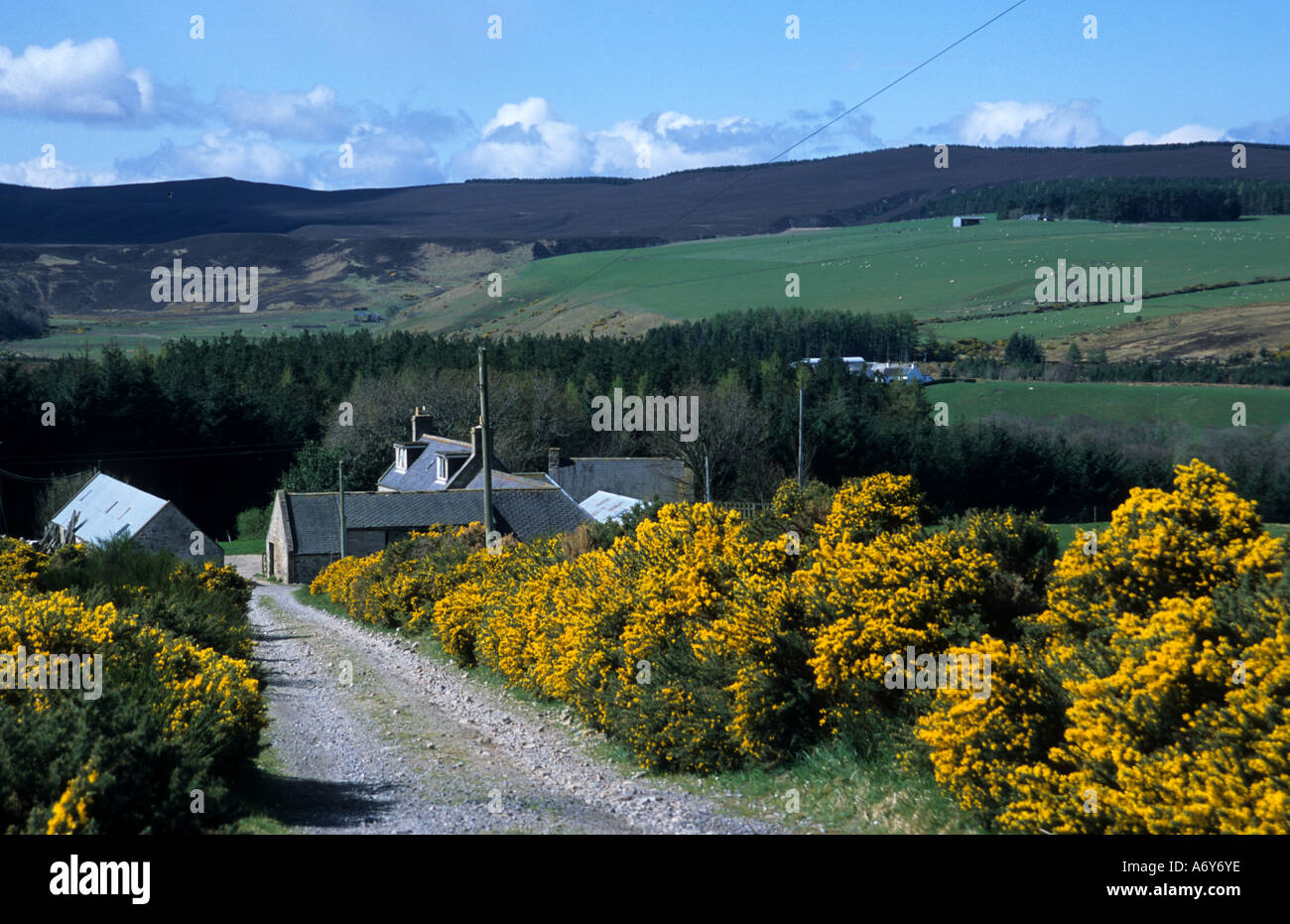 ISLAY road farm house Farmer Scotland Scottish Stock Photo Alamy
