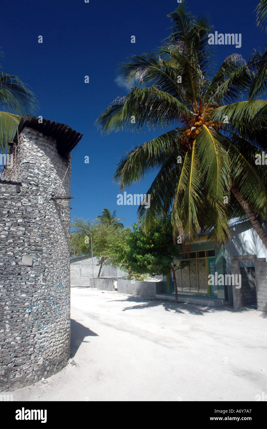 Coral wall single storey building and Coconut palm tree on Dhidoo island Ari atoll Maldives Stock Photo