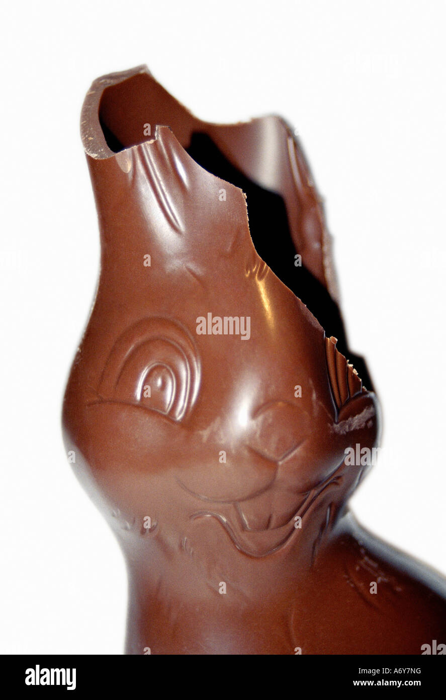 Hollow Chocolate Bunny Without Ears
