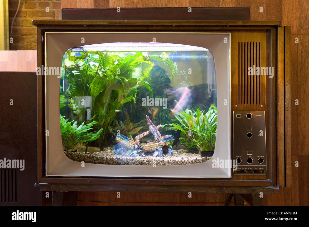 A fish tank in a television Stock Photo Alamy