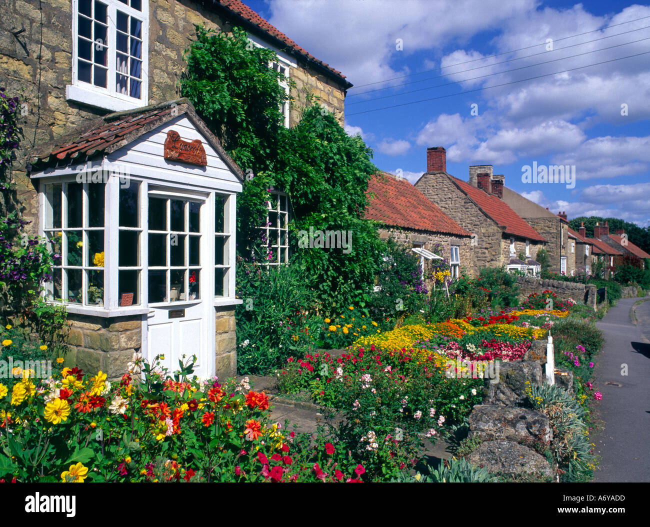 Cottage Garden Lockton Village near Pickering North Yorkshire Moors