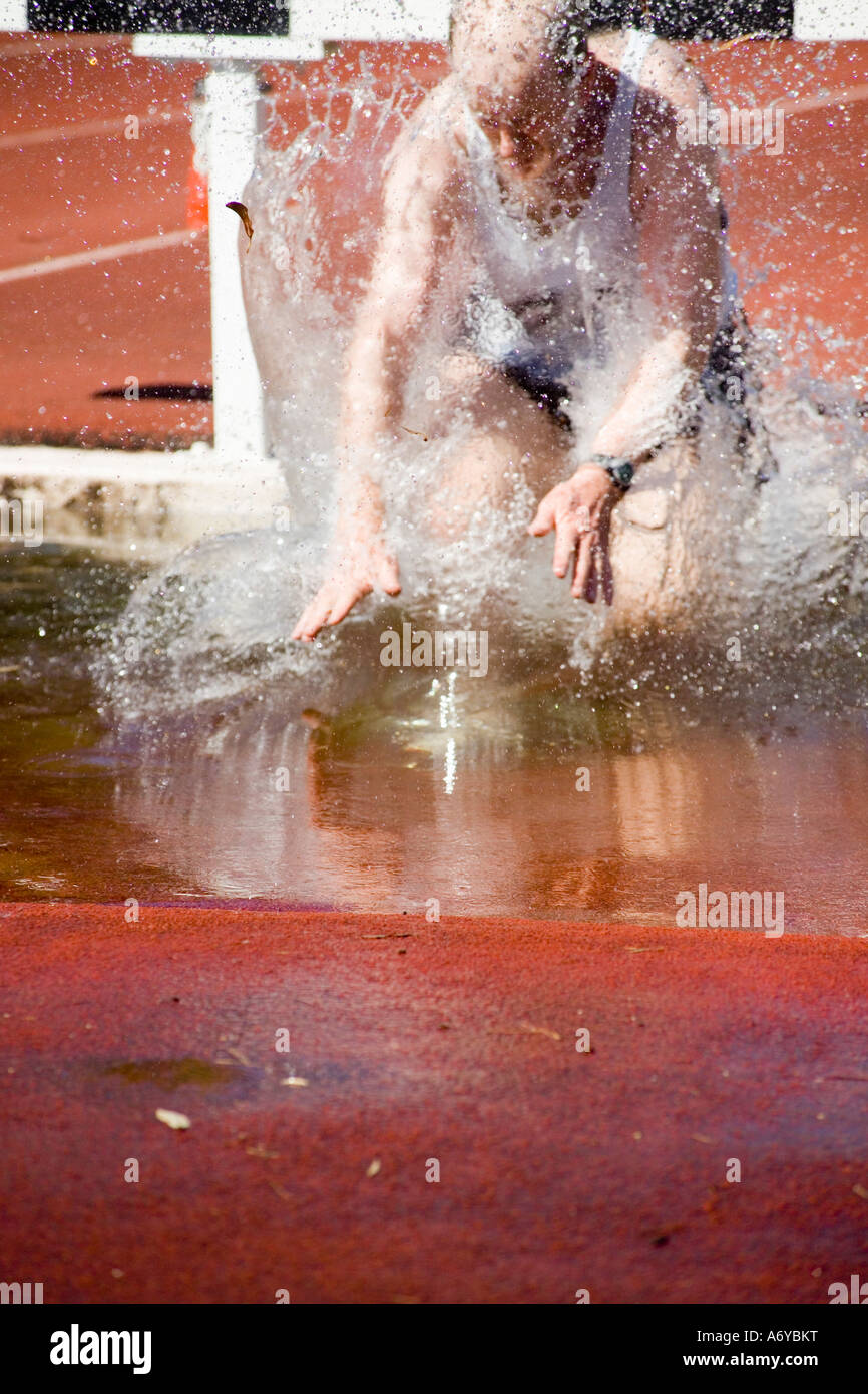 Man falling in water jump during steeplechase event Stock Photo Alamy