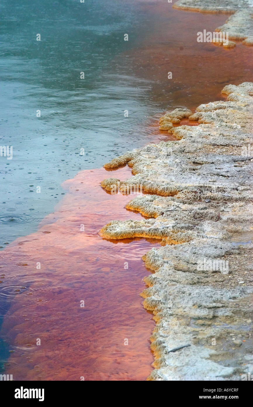 mineral deposits at edge of Champagne pool Wai o Tapu Rotorua Gas bubbles that give the name to the p[ool can be seen clearly Stock Photo