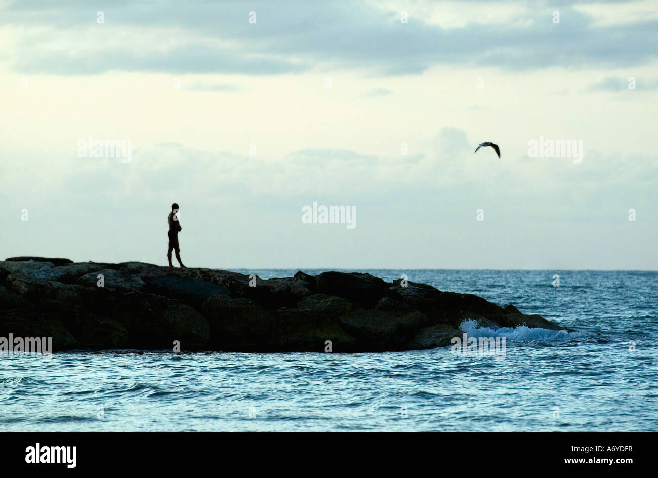Man looking out to sea Stock Photo - Alamy