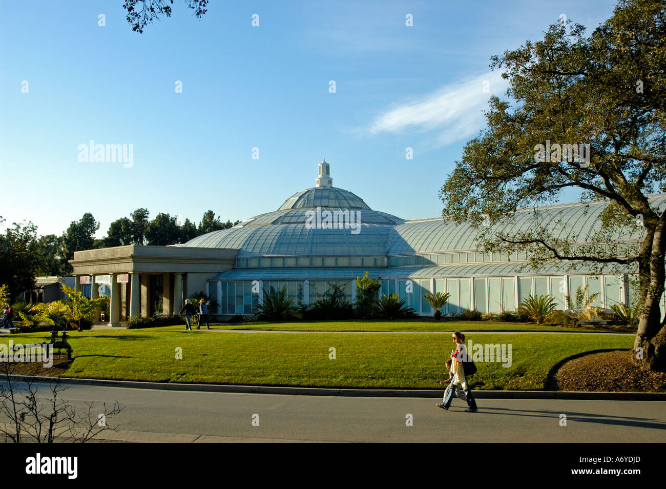 The Rose Hills Foundation Conservatory for Botanical Science at The