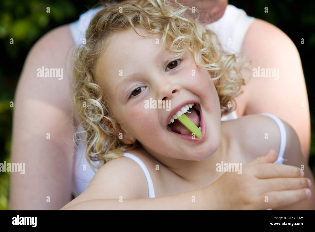 Young girl sitting on her mother s lap with a piece of celery in her mouth Stock Photo
