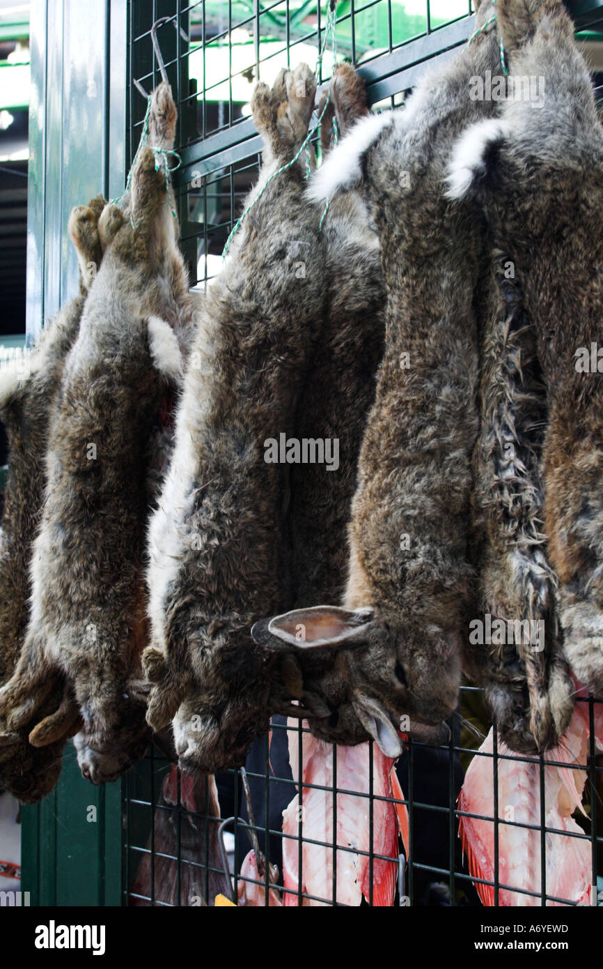 Rabbits Oryctolagus cuniculus hanging on a butchers stall in a market ...