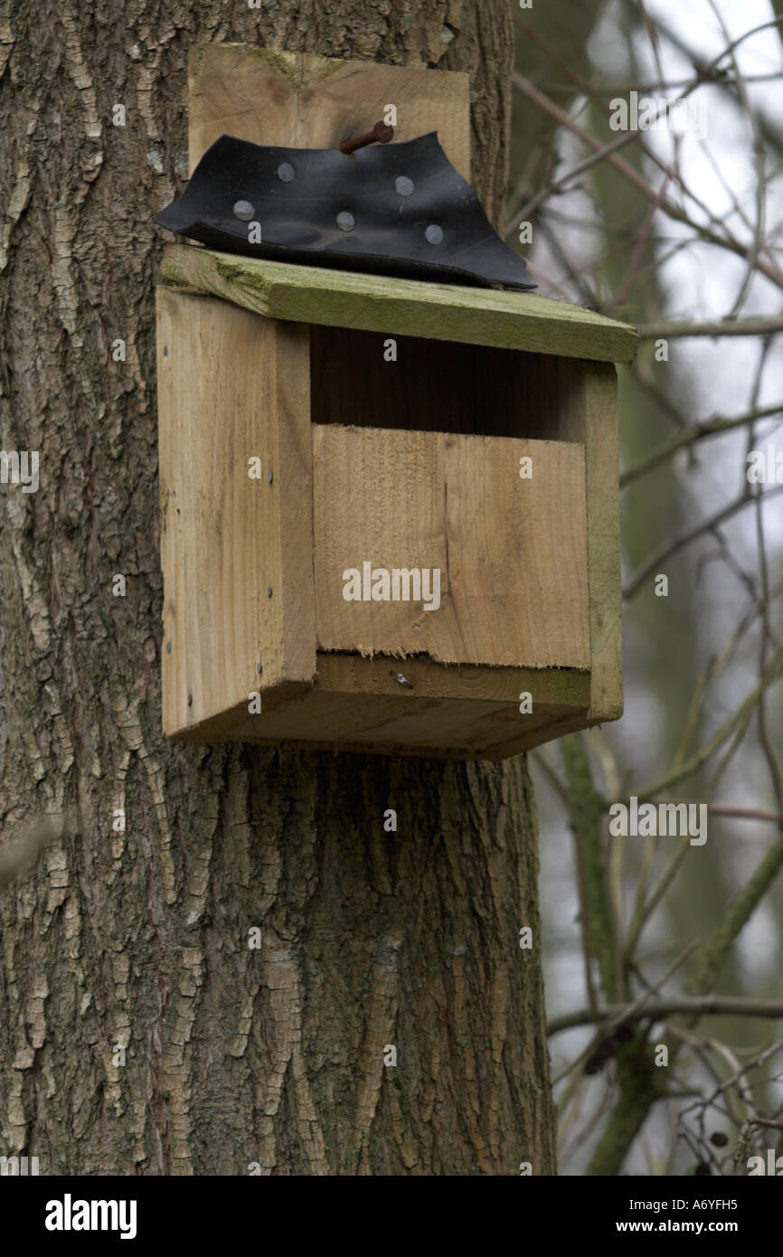 Amazon Rspb Nest Box Rspb nest box hi-res stock photography and images - Alamy