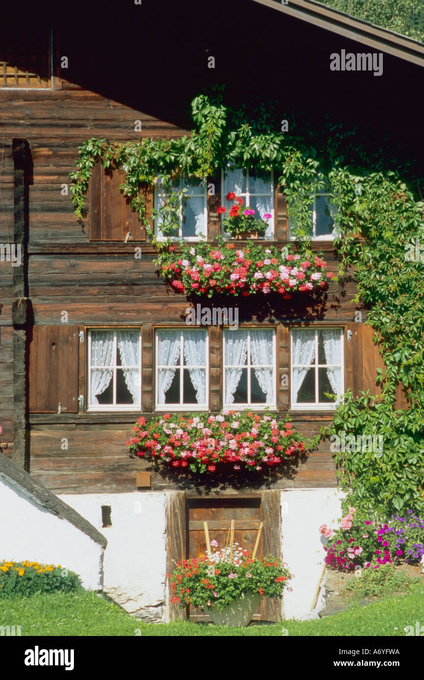 Switzerland Bernese Oberland Wengen typical house Stock Photo Alamy