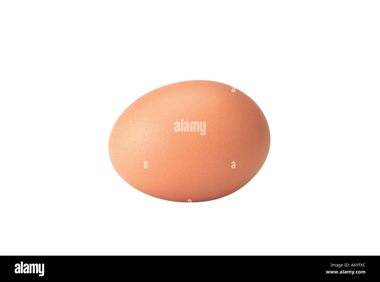 Picture of Egg Stock Photo - Alamy