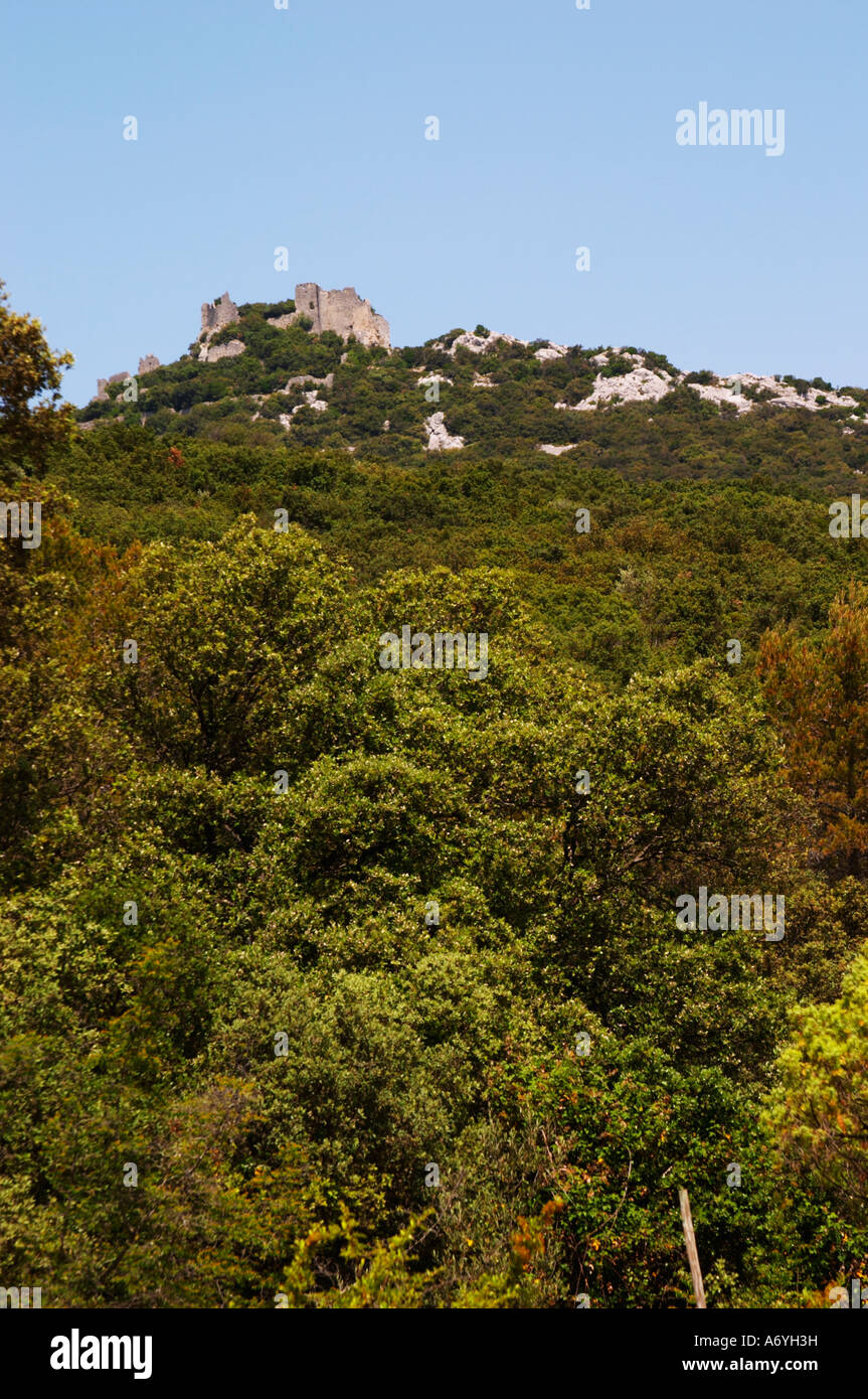 Domaine Ermitage du Pic St Loup, Chateau Ste Agnes. Pic St Loup. Languedoc. The ruins of a chateau fortress. Garrigue undergrowth vegetation with bushes and herbs. France. Europe. Stock Photo