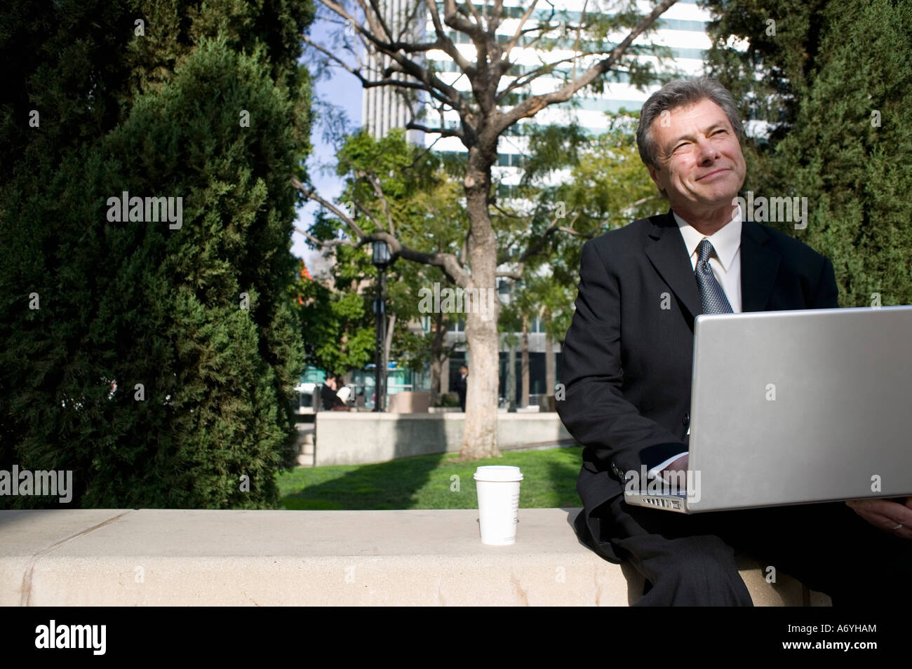 Businessman sitting on a park bench and using a laptop Stock Photo